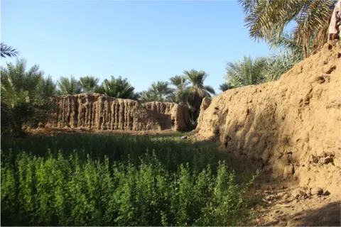 Green Gulch (photo: Gareth Rees