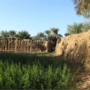 Green Gulch (photo: Gareth Rees